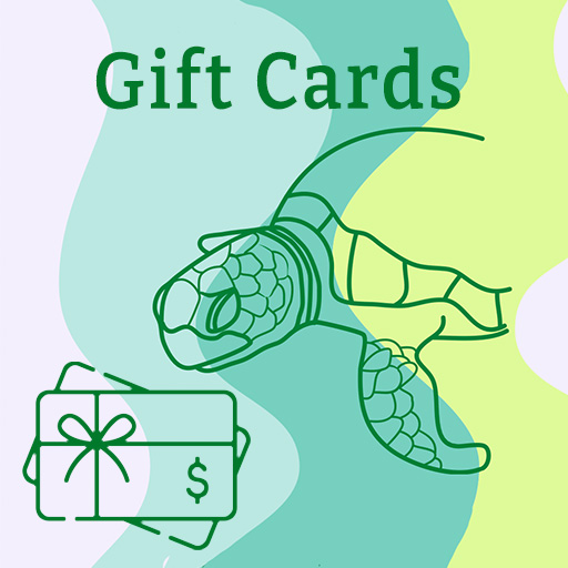 Gift Cards Tortugas' Lie